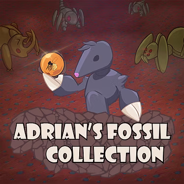 Adrian's Fossil Collection Detail